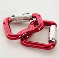 Image result for Small Locking Carabiner