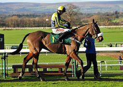 Image result for Free Horse Racing Tips Australia