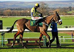 Image result for Horse Racing Documentary