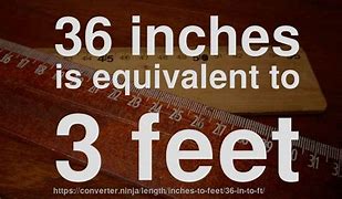 Image result for How Tall Is 36 Inches in Feet