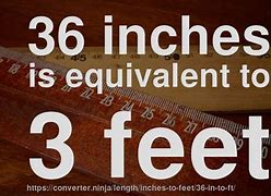 Image result for How High Is 36 Inches