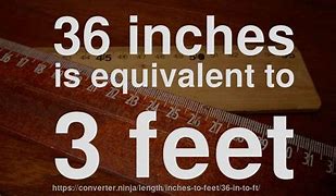 Image result for How Big Is 36 Inches Tall