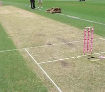 Image result for Cricket Pitch Plan