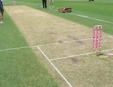 Image result for Cricket Pitch Field