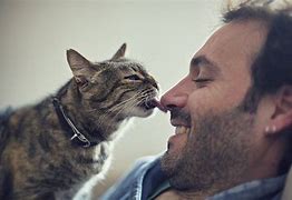 Image result for acat�lick
