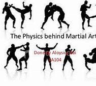 Image result for Unique Fighting Styles