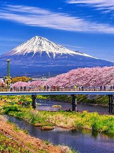 富士市・潤井川（龍巌淵）の桜 | 美しい風景, 綺麗 景色, 美しい場所