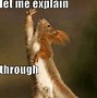 Image result for Squirrel Meme