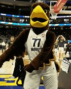 Image result for Marquette University Mascot