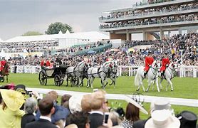 Image result for Royal Ascot Horses