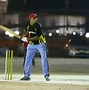 Image result for Cricket On Main Street