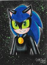 Image result for Sonic Noir