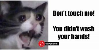 Image result for Thank You Crying Cat Meme