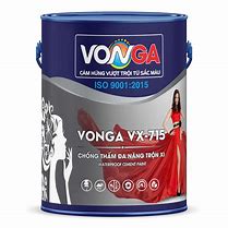 Image result for vonga