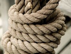 Image result for Rope Cord