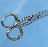 Image result for Speedy Sharp Scissors