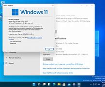 Image result for Windows 11 Pin Offline