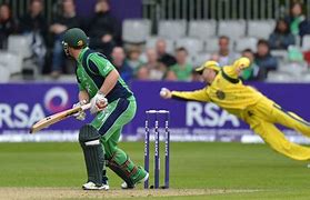 Image result for Cricket Fielder Standing Pictures