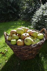 Image result for Apple Basket Decor