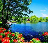 Image result for Amazing Nature Scenery
