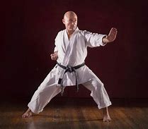 Image result for martial arts master