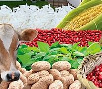 Image result for agropecuaril