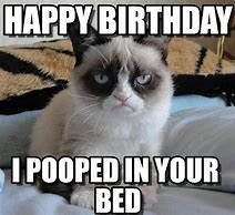 Image result for Grumpy Happy Birthday Meme