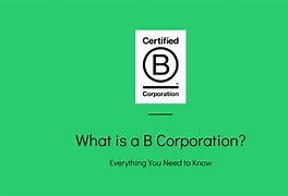 Image result for B Corporation Disadvantages