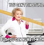 Image result for Cannot Fix Stupid Meme