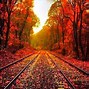 Image result for Fall Pictures for Wallpaper