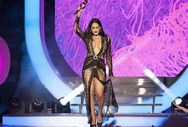 Image result for WWE Nikki Bella Leather