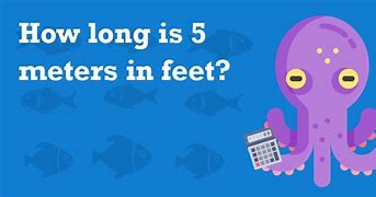 Image result for 5 Meters in Feet