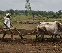 Image result for South Indian Farmer