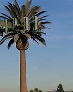 Image result for 5G Cell Tower Tree