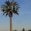 Image result for Pine Tree Cell Phone Tower