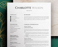Image result for Modern Executive Resume Free Template