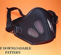 Image result for North Kores Attack Face Mask