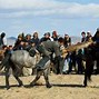 Image result for Mongolia Festival
