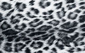 Image result for Snow Cheetah Print Background