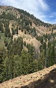 Image result for Pioneer Cabin Hike