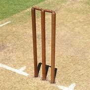 Image result for Cricket Swingball Stumps