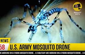 Image result for Mosquito Spy Drone