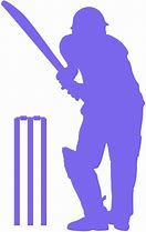 Image result for Cricket Shadow
