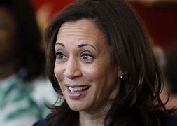 Image result for Kamala Harris Official Portrait