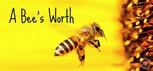Image result for Save the Bees Meme