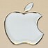 Image result for Chrome Apple Sticker iPhone