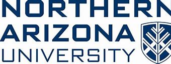 Image result for Univerisity of Arizona Logo