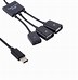 Image result for Dual USB C Cable
