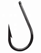 Image result for Lifting Hooks for 30 Kg