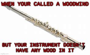 Image result for Meme Flute Music